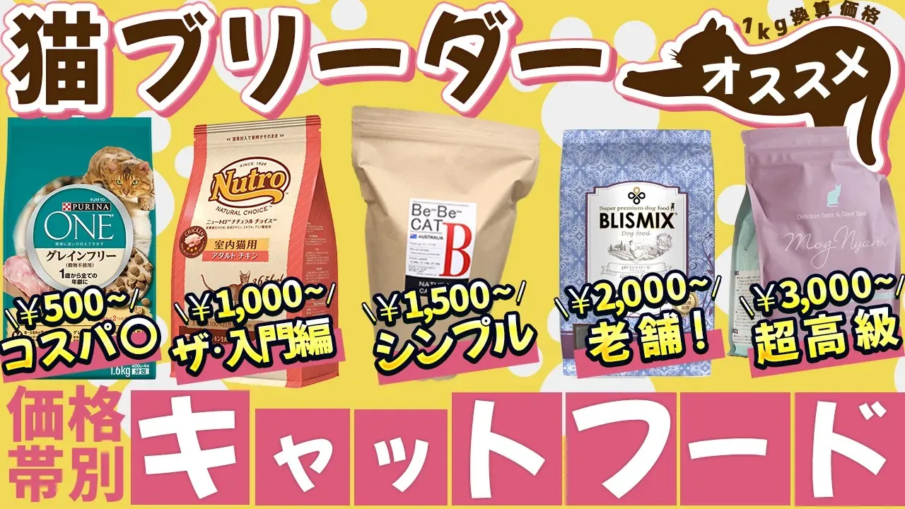 猫 ラボ ブリーダーで理想の子猫を探す！安全・安心なブリーダー選びから迎え入れまでの完全ガイド